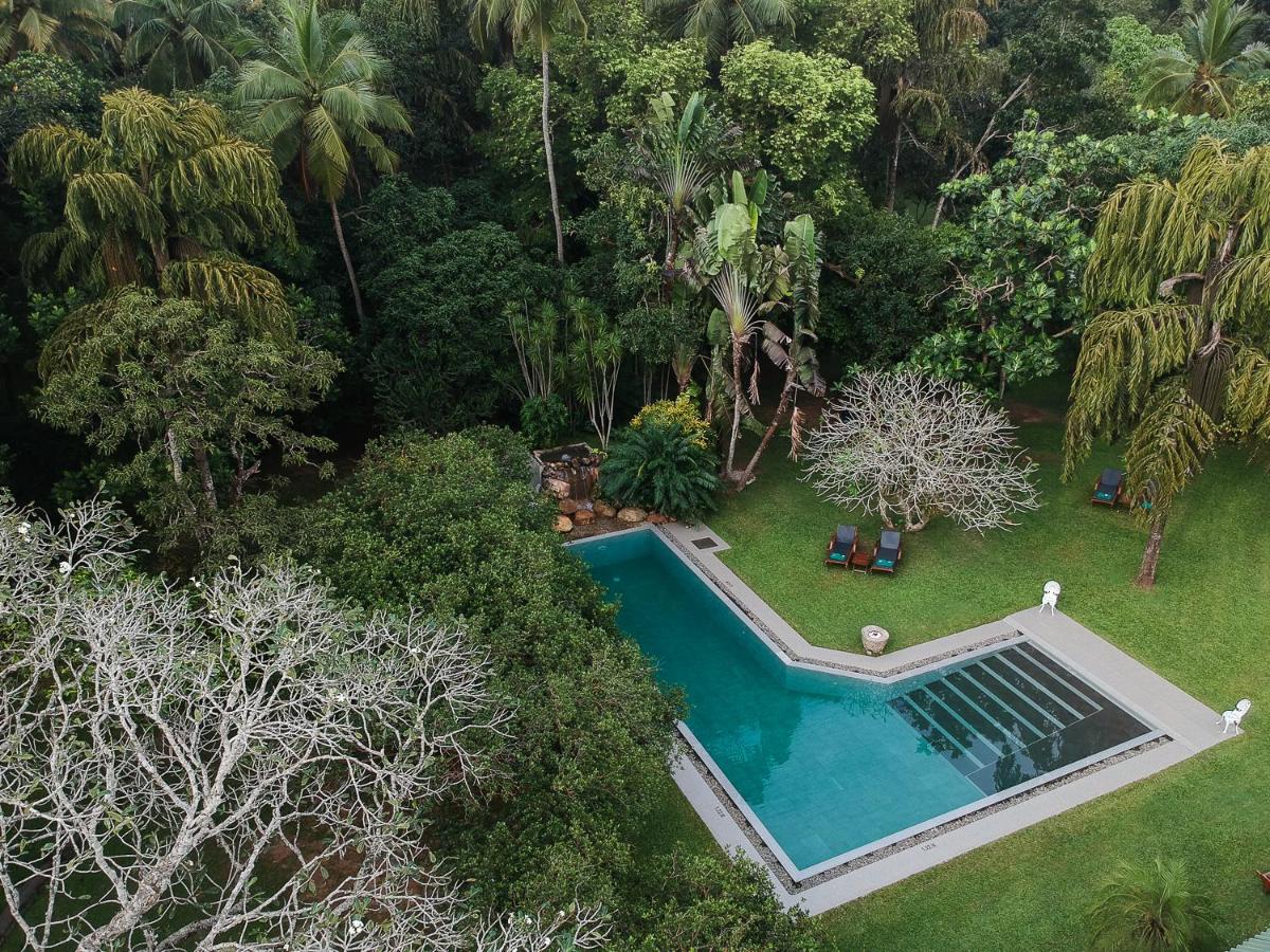 Horathapola Estate - main image