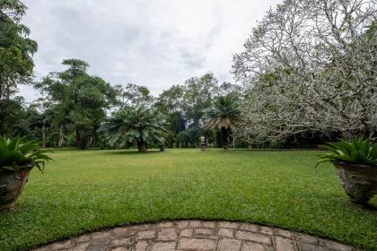 Horathapola Estate - image 23