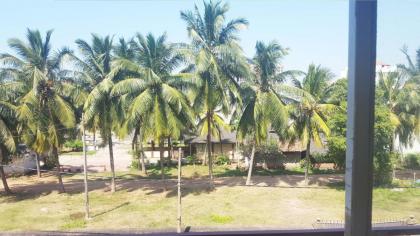 Beehive Colombo - image 27