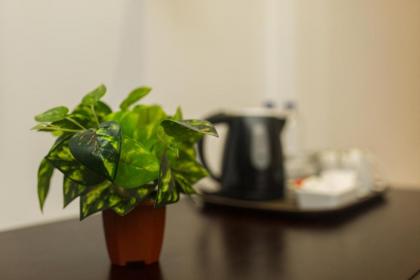 Saveira Colombo - image 28