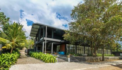 The Domain - image 23