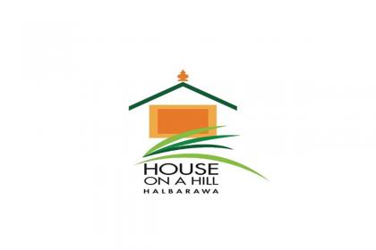 House on a Hill by The Serendipity Collection - image 21