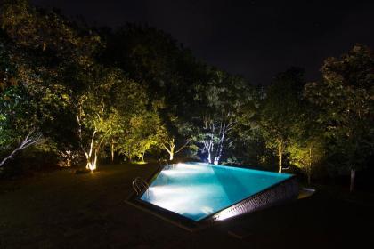 House on a Hill by The Serendipity Collection - image 30