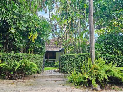 Havelock Place Bungalow - image 24