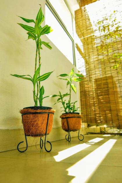 Blackberry villa - image 21