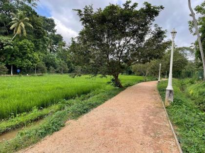 Short stay apartment in Colombo - image 12
